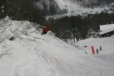 IMG_0256.jpg